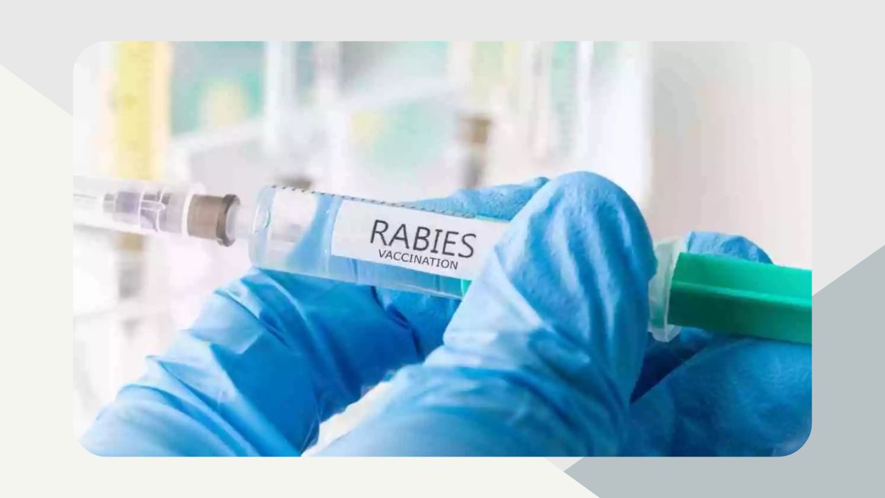Types Rabies Vaccine